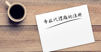 商丘企南針 商標注冊與知識產權代理的專業護航者